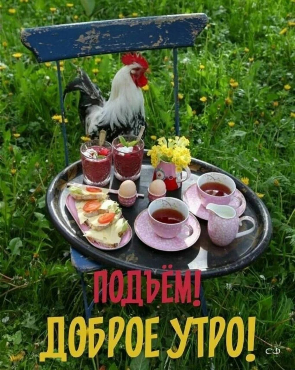 В 5. 36 утра из села а. Утро в деревне. Доброе утро в деревне. 36 утра из села а.