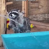 Arena breakout на пк. Чит на арена брейкаут пк. Чит на арена брейкаут пк. Arena brakeout. Arena breakout ранги.